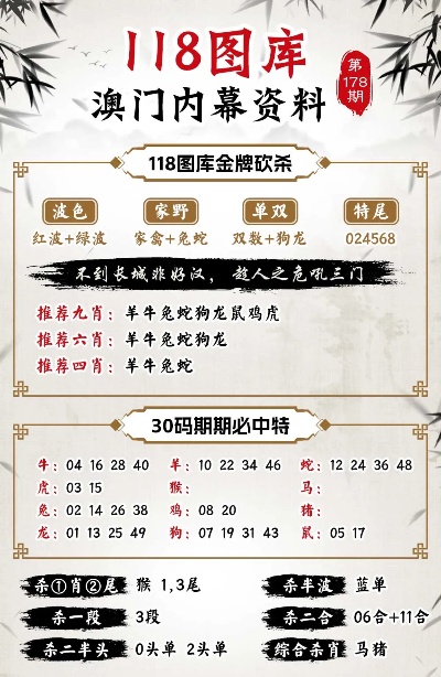 澳门管家婆100%精准,精选解析、解释与落实