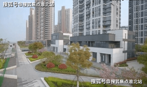 新澳门2025年正版免费和新澳2025最新版免费,精选解析与警惕虚假宣传-全面释义、解释与落实