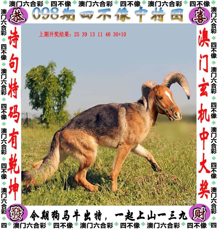 2025澳门精准正版免费四不像和2025新澳精准正版免費資料,词语释义、解释与落实与警惕虚假宣传-全面释义、解释与落实